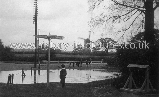 Pond & Mill, Mountnessing, Essex. c.1905